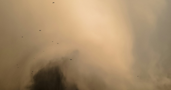 Dust Storm Warning Dust Storm Warning