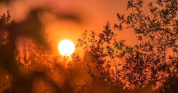 Extreme Heat Watch