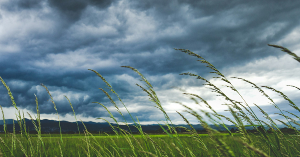 High Wind Warning