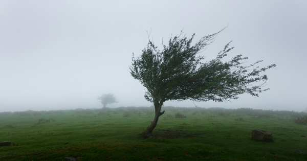 High Wind Watch