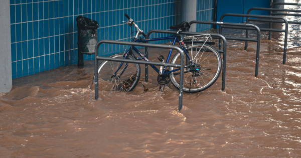 Lakeshore Flood Warning