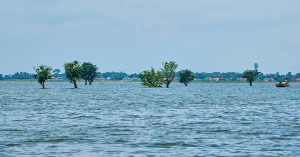 Lakeshore Flood Watch