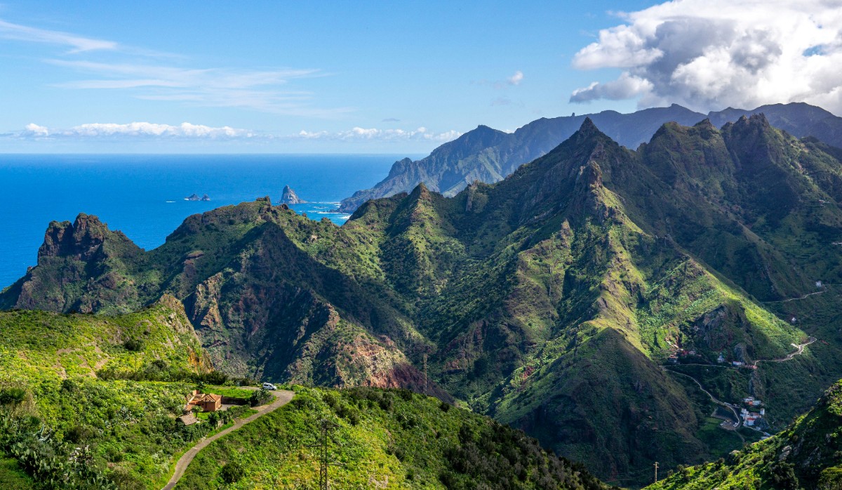 Tenerife in January